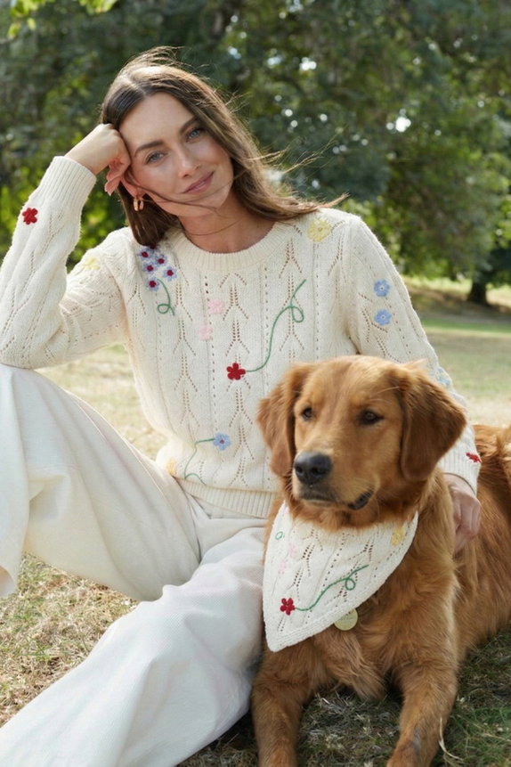 featured-sub-banner-card